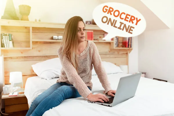 Conceptual display Grocery Online. 온라인상에서 온라인 다큐멘터리를 보고 인터넷 게임을 친구들 과즐기라는 명령을 받아들이는 슈퍼마켓의 디지털 버전에 대한 용어 — 스톡 사진
