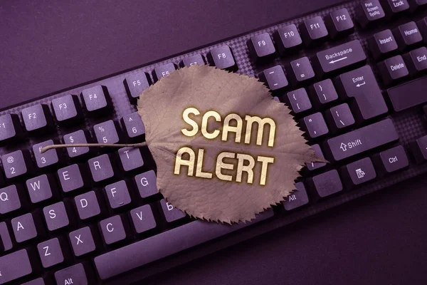 Visualizzazione concettuale Scam Alert. Foto concettuale fraudolentemente ottenere soldi dalla vittima convincendolo Programmatore Creazione di nuovo software, Linguaggio di programmazione di battitura Coder — Foto Stock