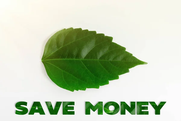 Inspiración mostrando signo Save Money. Idea de negocio para presupuestar o poner dinero a un lado para el futuro o emergencia Ideas de Conservación de la Naturaleza, Nuevos Planes de Conservación Ambiental — Foto de Stock