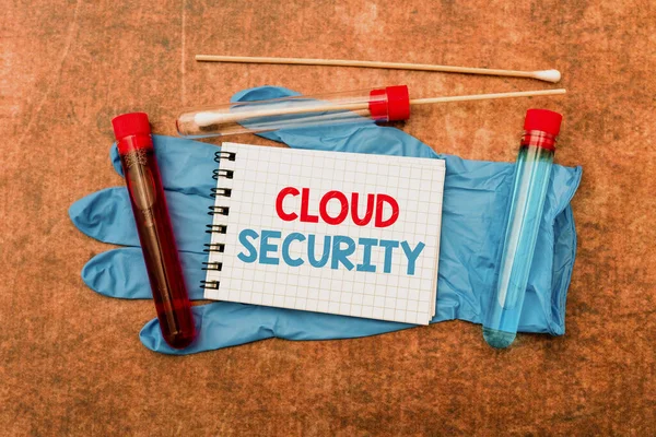 Εννοιολογική απεικόνιση Cloud Security. Επιχειρηματική προσέγγιση Επιβολή ενός ασφαλούς συστήματος υπαρχόντων δεδομένων στο Διαδίκτυο Γράφοντας Συνταγογραφούμενα Ιατρεία Εργαστηριακές Εξετάσεις και Αναλύσεις Λοιμώξεων — Φωτογραφία Αρχείου