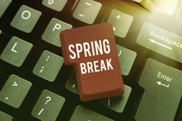 Text caption presenting Spring Break. Word Written on Vacation period at school and universities during spring Abstract Drafting A Binding Contract, Creating Antivirus Codes — Stock Photo, Image
