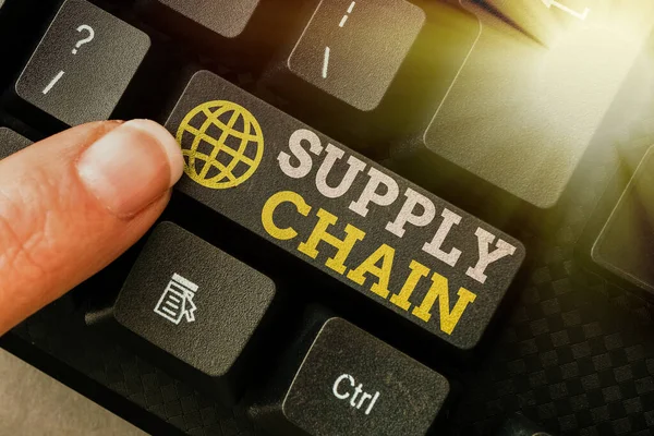 Conceptual display Supply Chain. Word for System of organization and processes from supplier to consumer Lady finger showing-pressing keyboard keys-buttons for update
