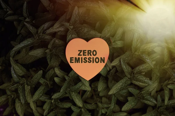 Conceptual caption Zero Emission. Conceptual photo refers to an engine that emits no atmospheric pollutants Heart Shaped Paper On Top Of Outdoor Nature Leafy Plant Bush.