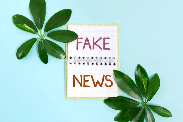 Conceptuele weergave Fake News. Bedrijfsoverzicht valse informatie te publiceren onder het mom van authentiek nieuws Het creëren van de natuur Thema Blog Content, Het voorkomen van milieuverlies — Stockfoto