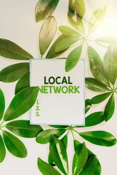 Señal de escritura a mano Red Local. Descripción general del negocio Intranet LAN Radio Waves DSL Boradband Switch Connection Saving Environment Ideas and Plans, Creating Sustainable Products — Foto de Stock