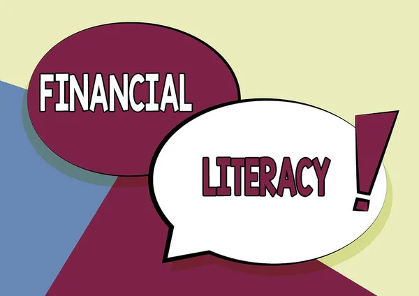 Conceptual caption Financial Literacy. Word for education and understanding of various financial areas Two Colorful Overlapping Speech Bubble Drawing With Exclamation Mark. — Fotografia de Stock