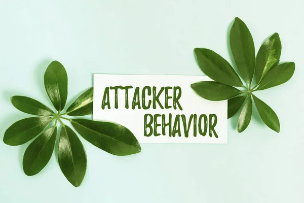 Conceptual caption Attacker Behavior. Word Written on analyze and predict the attacker behavior of the attack Creating Nature Theme Blog Content, Preventing Environmental Loss — Stock Photo, Image