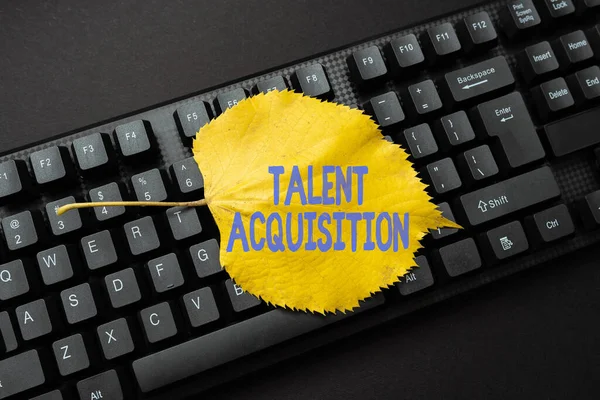 Text caption presenting Talent Acquisition. Business showcase process of finding and acquiring skilled human labor Online Browsing And Exploring, Creating Blog Content, Sending New Messages — Stockfoto