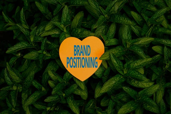 Text caption presenting Brand Positioning. Concept meaning creating a unique impression in the minds of the customers Heart Shaped Paper On Top Of Outdoor Nature Leafy Plant Bush.