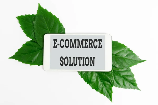 Text sign showing E Commerce Solution. Business concept Software used by business in selling products online Saving Environment Ideas And Plans, Creating Sustainable Products — Φωτογραφία Αρχείου