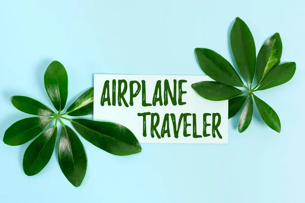 テキスト飛行機旅行者を表示する書き込み。航空機で旅をする際の行動やプロセスについての言葉｜自然テーマブログコンテンツの作成、環境損失の防止 — ストック写真