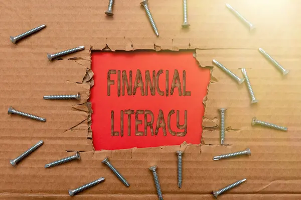 Rukopis Finanční gramotnost. Koncepční foto vzdělávání a pochopení různých finančních oblastí Chytré kancelářské plány Vývoj a plánování — Stock fotografie