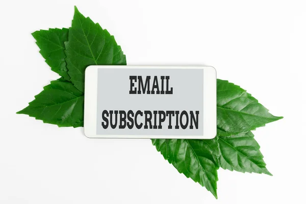 Sign displaying Email Subscription. Word Written on option that allows visitors to receive updates via email Saving Environment Ideas And Plans, Creating Sustainable Products — 图库照片
