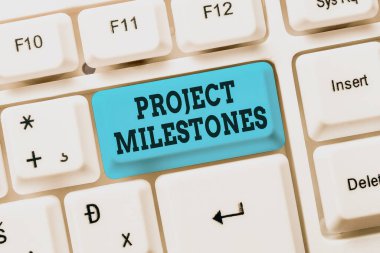 Kavramsal manşet Proje Taşları. Yeni Çevrimiçi Günlük Web Sitesi Kurma, Anlamlı İnternet İçeriği Yazma projesinde önemli bir başarıyı gösteren İnternet Kavram süresi