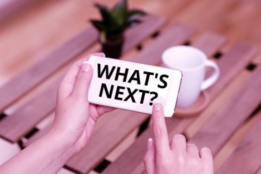 S 'nin ne olduğunu gösteren bir metin. İnsanları Bir Araya Bağlayan Ses ve Görüntü Çağrı Yetenekleri hakkında aşağıdaki plan veya eylemler hakkında İnternet Kavramı Belirsizliği