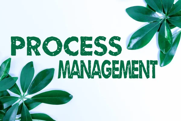 Handgeschriebener Text Prozessmanagement. Geschäftskonzept, das Prozesse mit einer Organisation ausrichtet s ist strategisches Ziel Saving Environment Ideas And Plans, Creating Sustainable Products — Stockfoto
