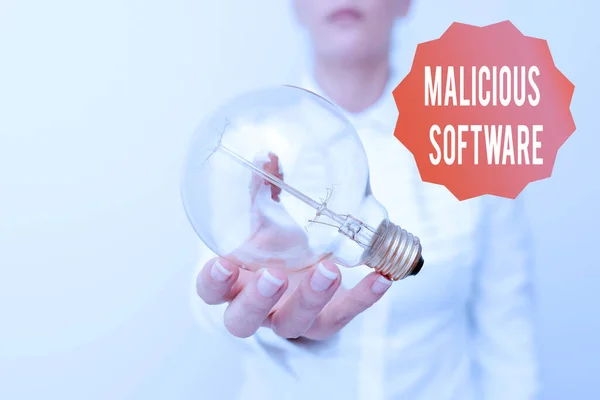 Conceptual display Malicious Software. Concept meaning the software that brings harm to a computer system Lady in business outfit holding lamp presenting new technology ideas