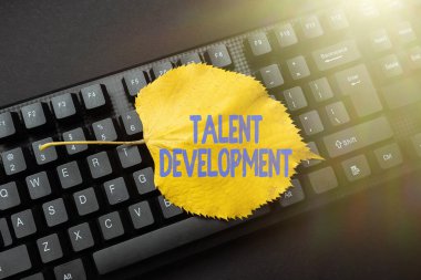 Hand writing sign Talent Development. Word for anticipation of required human capital for organization Online Browsing And Exploring, Creating Blog Content, Sending New Messages