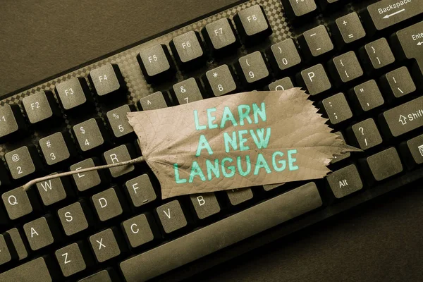 新しい言語を学ぶが表示されます。第二外国語でのコミュニケーション能力概要オンライン招待状の入力、ワード処理プログラムの修正 — ストック写真