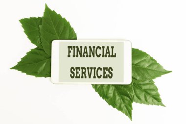 Kavramsal Mali Hizmetler. Finans endüstrisinin sağladığı ekonomik hizmetler, Çevre Tasarruf Fikirleri ve Planları, Sürdürülebilir Ürünler Oluşturma