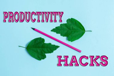 Yazı başlığı Üretkenlik Hackerlarını sunar. Aynı zamanda iki nesnenin farklı renkte bir arkaplanda içe doğru sıralandığı bir zamanda daha çok şey yapabileceğiniz hilekarlık.