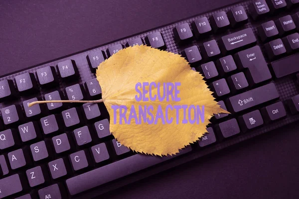 Conceptual caption Secure Transaction. Internet Concept a transaction intended to create a security interest Online Browsing And Exploring, Creating Blog Content, Sending New Messages