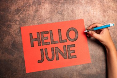 Metin gösterimi yazılıyor. Merhaba June. Eğlence ve macera için aktivitelerinizi planlamak için yeni bir ayda kavramsal fotoğraf Önemli Notlar Yazmak için Yeni Tasarım Harfleri Yazmak için Fikirler