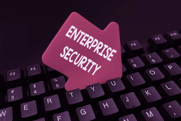 概念表示｜Enterprise Security。ビジネスは、重要な情報をオンラインで入力し、面白いインターネットブログを入力するデータへの不正アクセスのリスクを減少させることを示しています — ストック写真