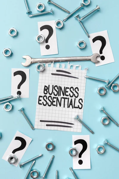 Tekst weergeven Business Essentials. Conceptuele foto belangrijke belangrijke ideeën om zakelijke vaardigheden te verbeteren Nieuwe ideeën Brainstoming voor onderhoud Planning Reparatie Oplossingen — Stockfoto