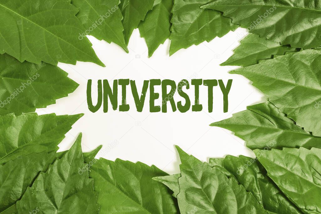 Text showing inspiration University. Business idea an educational institution designed to teach and investigate Nature Conservation Ideas, New Environmental Preservation Plans