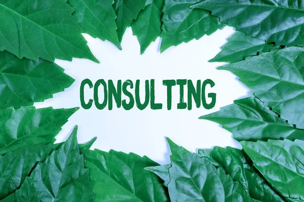 Writing displaying text Consulting. Business showcase engaged in giving expert advice to experts or technicians Nature Conservation Ideas, New Environmental Preservation Plans — Stock Photo, Image