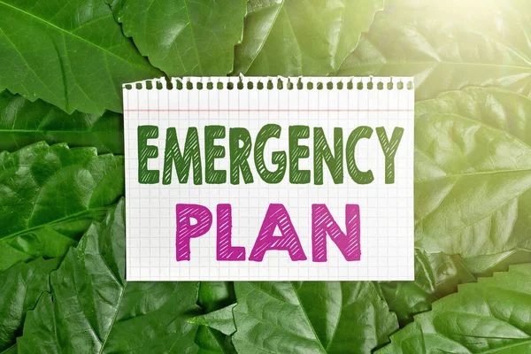 Handwriting text Emergency Plan. Word Written on instructions that outlines what workers should do in danger Nature Conservation Ideas, New Environmental Preservation Plans