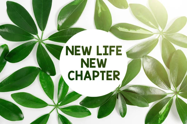 Texto de caligrafia New Life New Chapter. Modificação de abordagem de negócios da marca ou do negócio Mudança oportunidades Natureza Tema Apresentação Idéias e projetos, Exibindo materiais renováveis — Fotografia de Stock