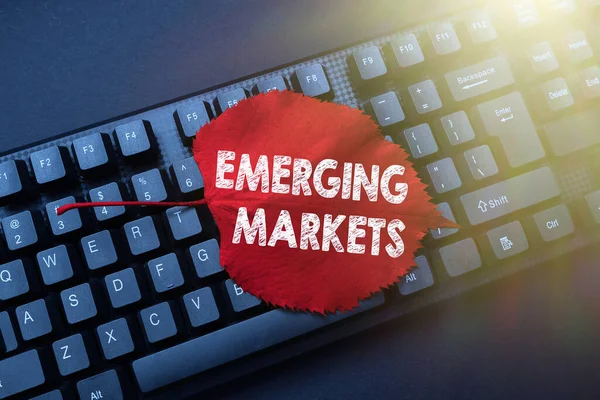 Sign displaying Emerging Markets. Business concept nations that are investing in more productive capacity Writing Online Research Text Analysis, Transcribing Recorded Voice Email — Fotografia de Stock