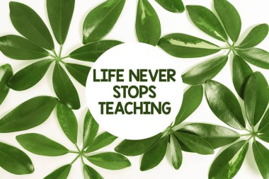 Hayat Öğreticiliği Durmadan İlham Veren Metin. İş fikri öğrenme tekniklerini sürdürüyor Doğa Teması Sunum Fikirlerini ve Tasarımlarını geliştirmenin yollarını arıyor, Yenilenebilir Malzemeleri Gösteriyor