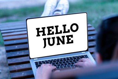 Kavramsal gösteri. Merhaba June. Eğlence ve macera etkinliklerinizi planlamak için yeni bir ay konsepti Ses ve Video Çağrı Yetenekleri İnsanları Birleştirir