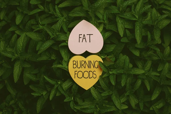 Assine mostrando Fat Burning Foods. Ideia de negócio produzir perda de gordura, estimulando o metabolismo para reduzir o apetite Papel em forma de coração em cima da natureza ao ar livre Arbusto planta folhosa. — Fotografia de Stock