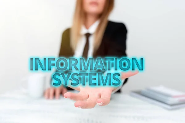 Metin Bilgi Sistemleri. Kurumsal İş Verilerini sunan, Şirket Sorunlarını Tartışan Sistemler hakkında kesin bilgiye sahip sistemlerin incelenmesi anlamına gelir — Stok fotoğraf