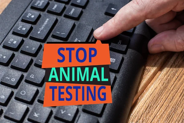 Ручная надпись Stop Animal Testing. Деловая витрина положила конец экспериментам на животных или исследованиям.. — стоковое фото