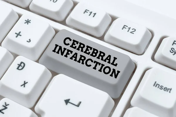 Conceptual display Cerebral Infarction. Business idea focal brain necrosis due to complete and long ischemia Typing Program Schedule, Retyping And Debugging Program String Codes