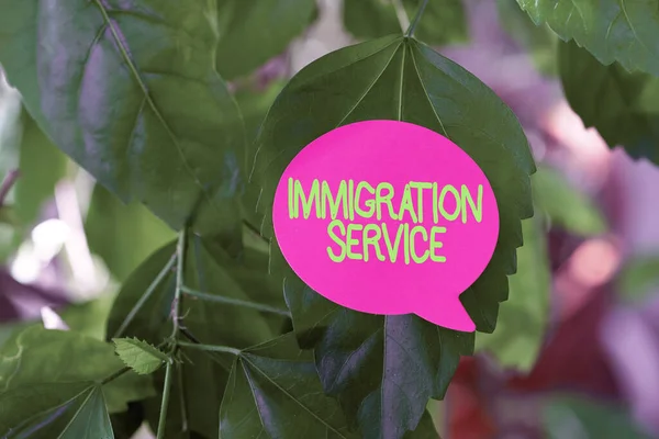 Text sign showing Immigration Service. Concept meaning responsible for law regarding immigrants and immigration Thinking New Bright Ideas Renewing Creativity And Inspiration