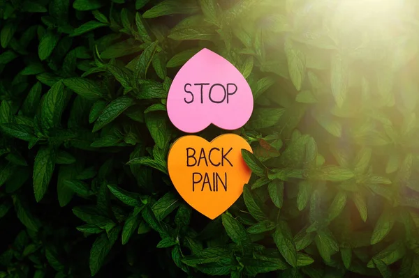 Texto mostrando inspiração Stop Back Pain. Palavra para colocar um fim na dor sentida na parte inferior ou superior das costas Papel em forma de coração no topo da natureza ao ar livre Planta folhosa Bush. — Fotografia de Stock