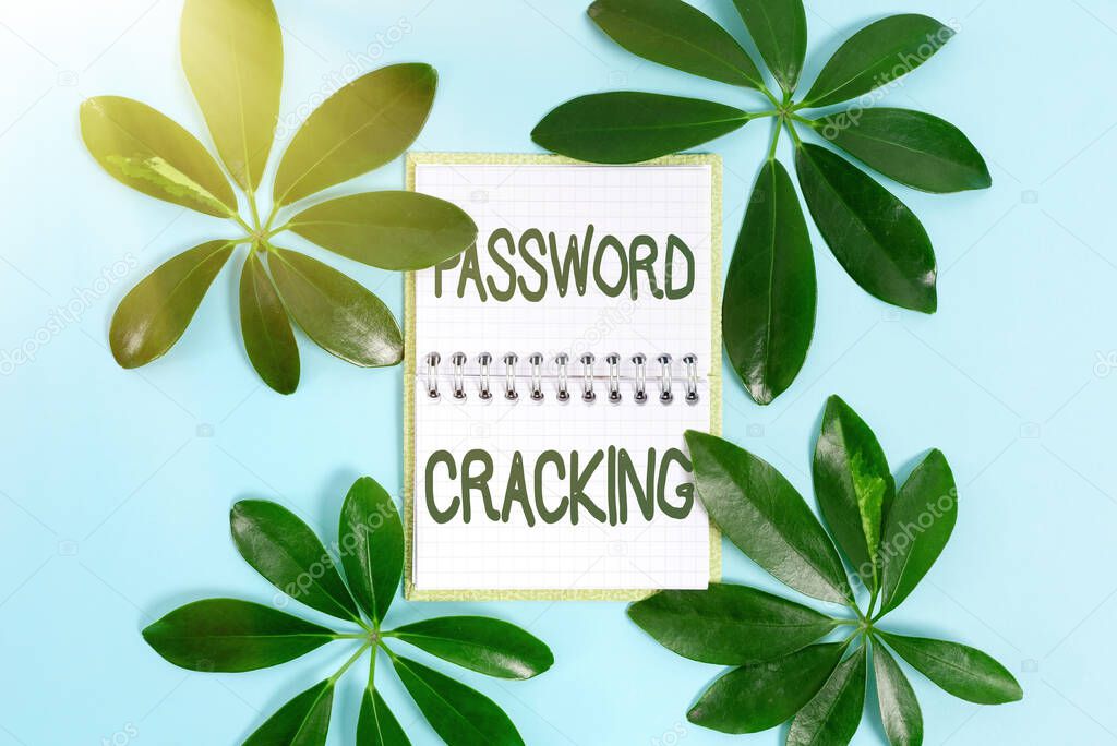 Text sign showing Password Cracking. Conceptual photo measures used to discover computer passwords from data Creating Nature Theme Blog Content, Preventing Environmental Loss