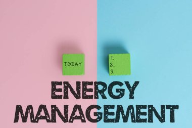 Text showing inspiration Energy Management. Word Written on way of tracking and monitoring energy to conserve usage Two Objects Arranged Facing Inward Outward On a Separated Coloured Background
