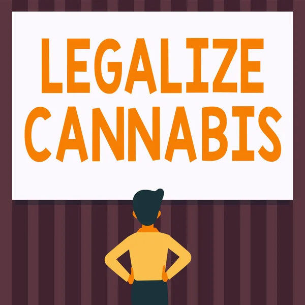 Conceptual display Legalize Cannabis. Word for law which legalized recreational cannabis use nationwide Man Drawing Standing Hands N Hips Looking At An Empty Whiteboard. — Stockfoto