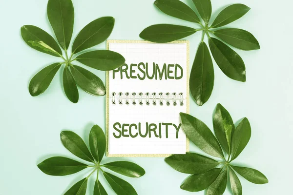 Text sign showing Presumed Security. Business overview system safe from attack due to attacker assume its safe Creating Nature Theme Blog Content, Preventing Environmental Loss