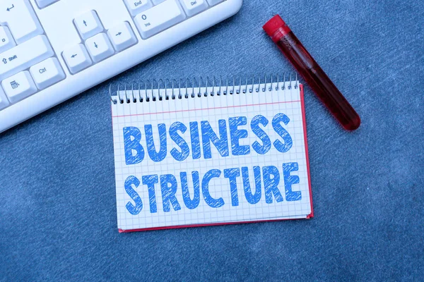 Writing displaying text Business Structure. Business approach Organization framework that is legally recognized Typing Medical Notes Scientific Studies And Treatment Plans — Stockfoto