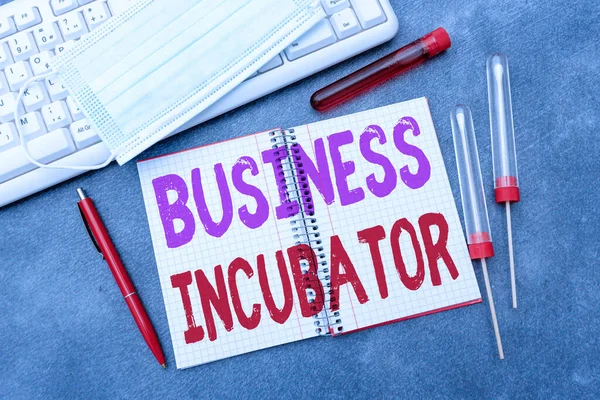 Text sign showing Business Incubator. Business showcase company that helps new and startup companies to develop Typing Medical Notes Scientific Studies And Treatment Plans