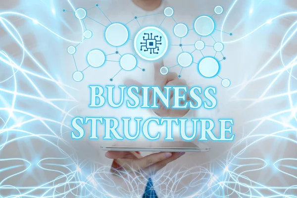 Text caption presenting Business Structure. Business showcase Organization framework that is legally recognized Lady Holding Tablet Pressing On Virtual Button Showing Futuristic Tech. — Stockfoto