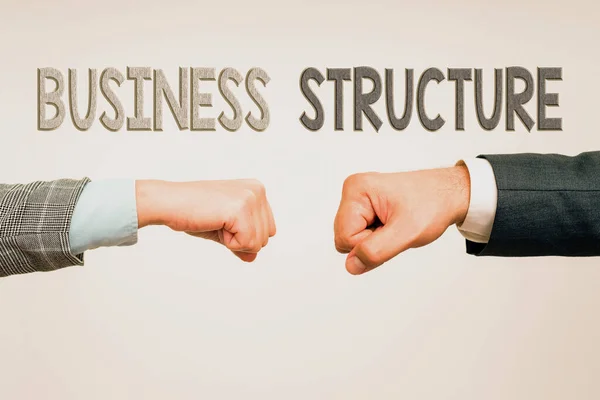 Conceptual caption Business Structure. Conceptual photo Organization framework that is legally recognized Two Professional Well-Dressed Corporate Businessmen Handshake Indoors — Φωτογραφία Αρχείου